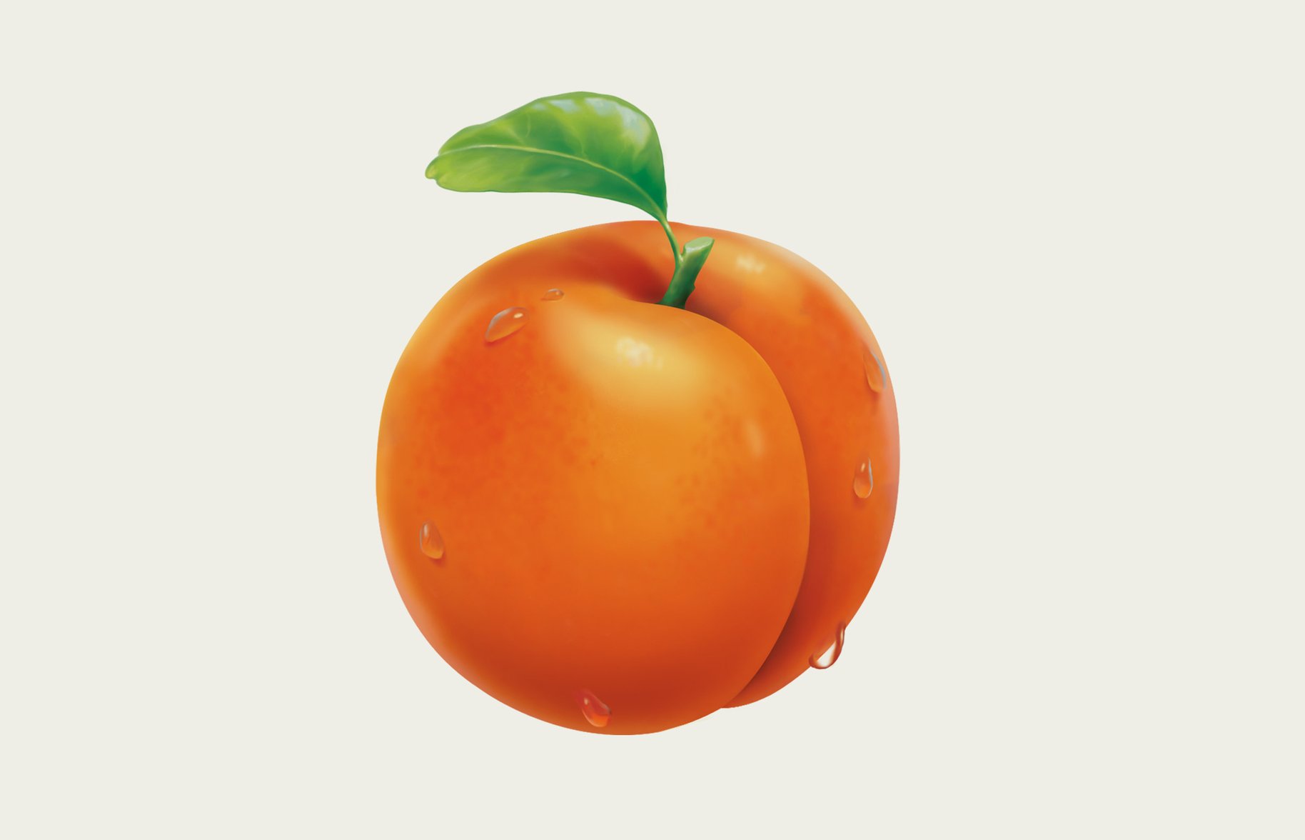 Fresh 'n Fruity Apricot Illustration Design 