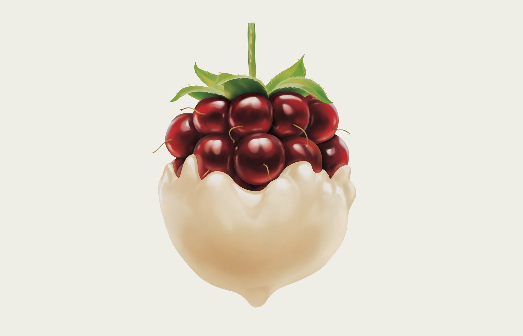 Fresh 'n Fruity boysenberry Cream Illustration Design 