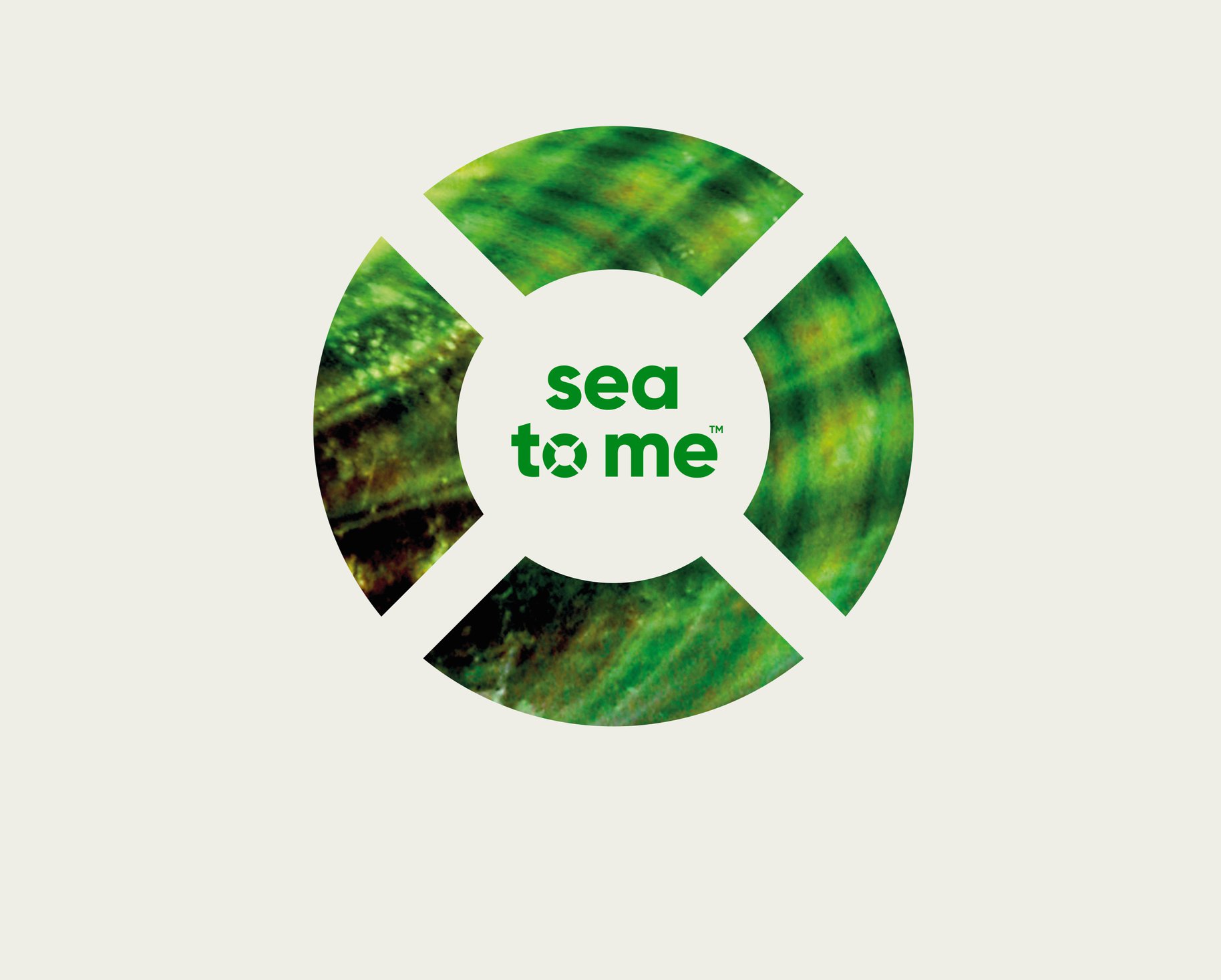 Sea To Me image