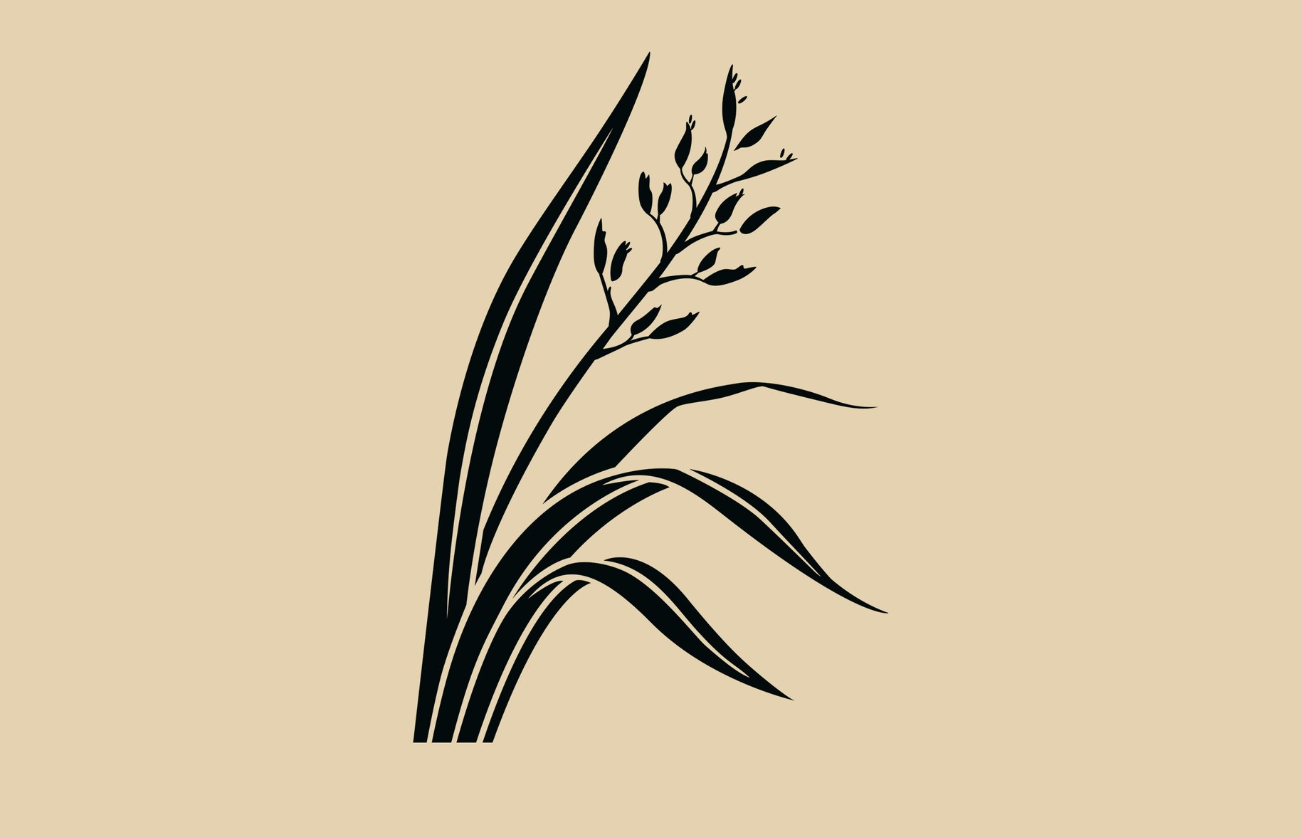 Living Nature flax illustration