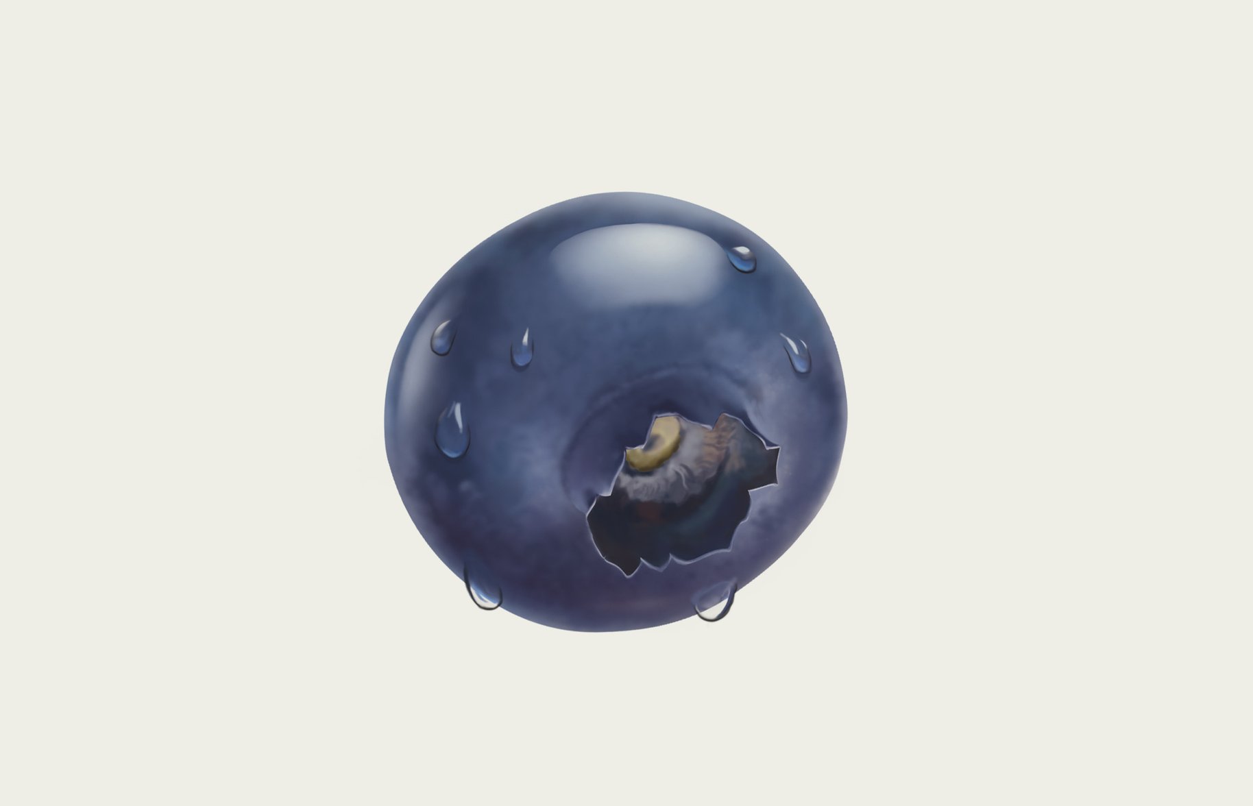 Fresh 'n Fruity Blueberry Illustration Design 