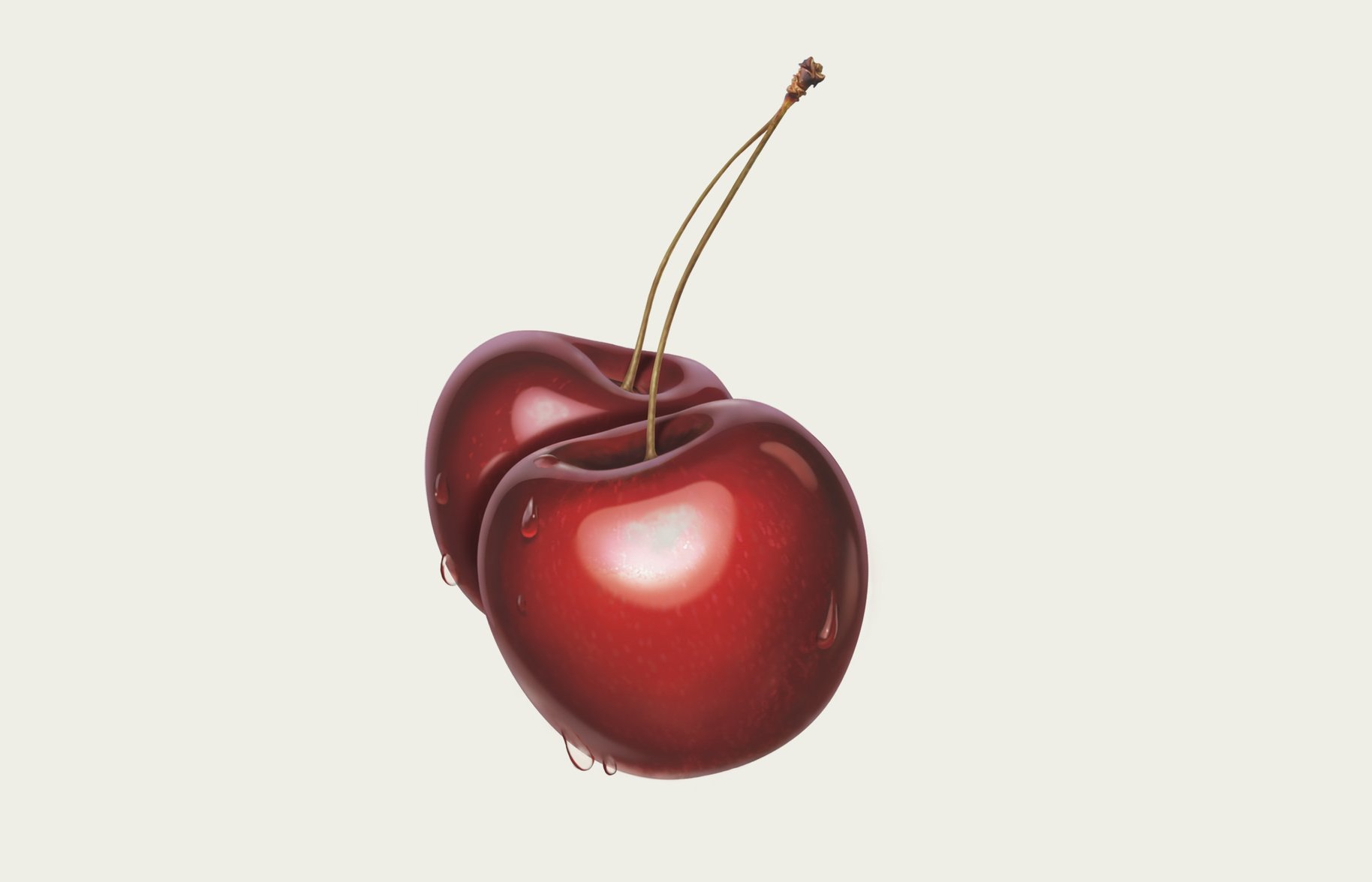 Fresh 'n Fruity cherry Illustration Design 