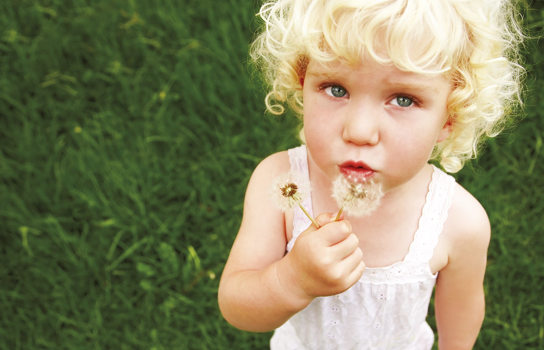 Only Organic portrait photography child cute blowing dandelion