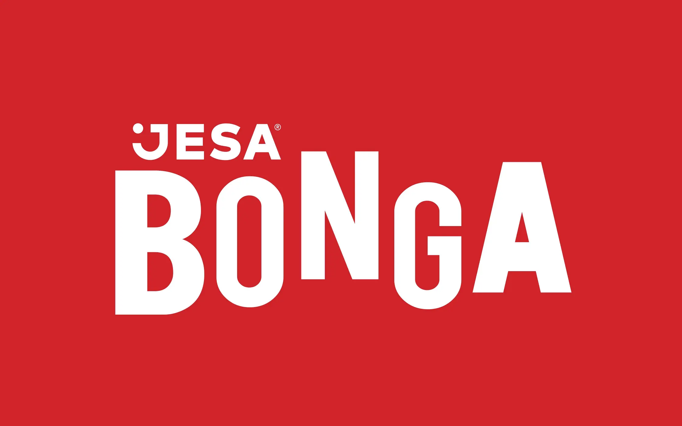 Jesa Bonga Casestudy 2 Cover